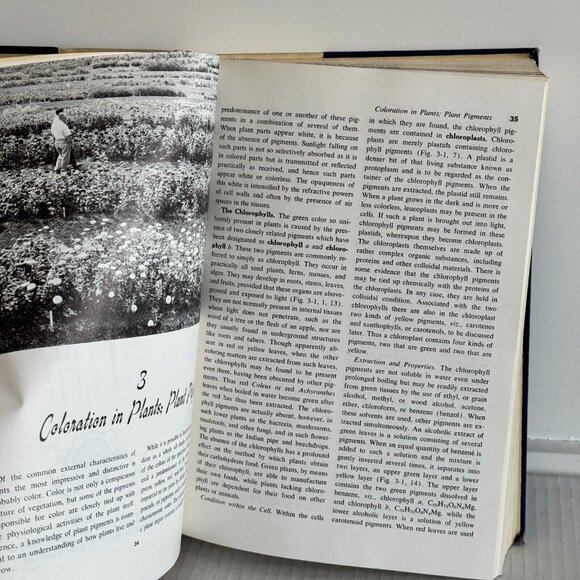 Vintage 1960 Botany: Hill Overholts Popp Grove Mcgraw-Hill Hardcover Book - Picture 11 of 12